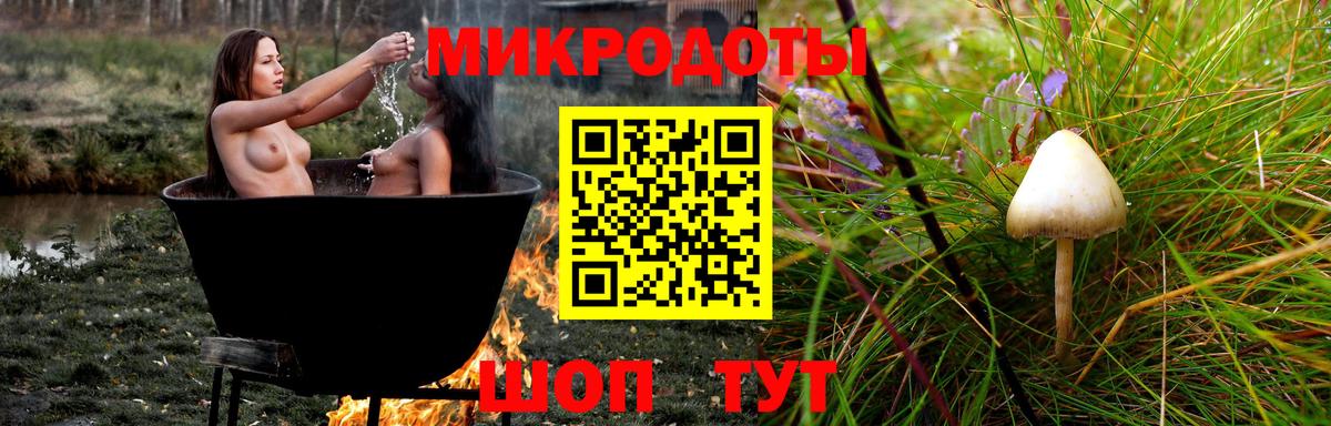 Галлюциногенные грибы Cubensis  Вход с VPN  Псилоцибиновые грибы прущие грибы  Крымск 